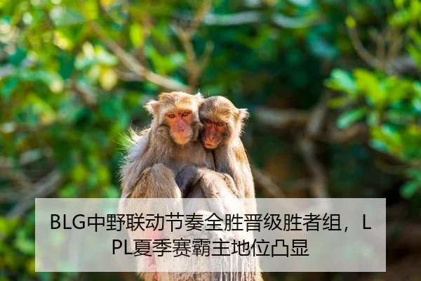 BLG中野联动节奏全胜晋级胜者组，LPL夏季赛霸主地位凸显