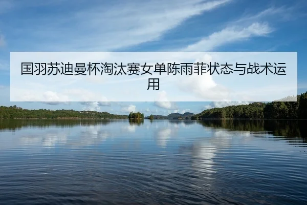 国羽苏迪曼杯淘汰赛女单陈雨菲状态与战术运用